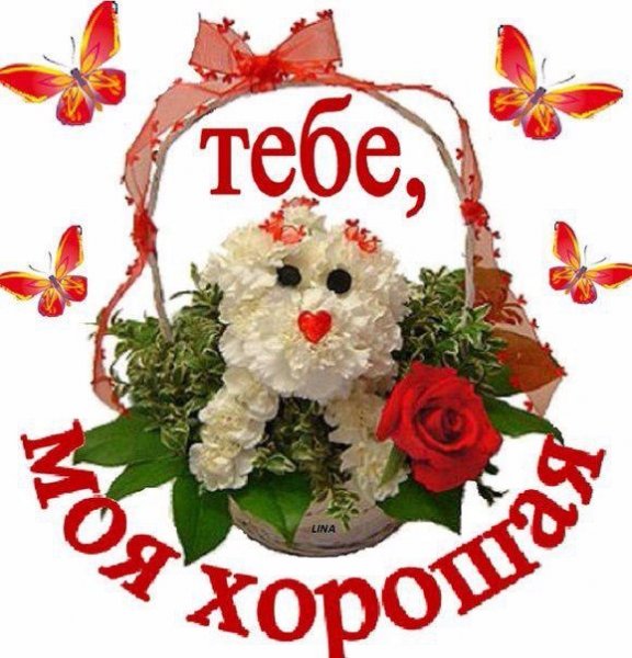 Приколы про валю
