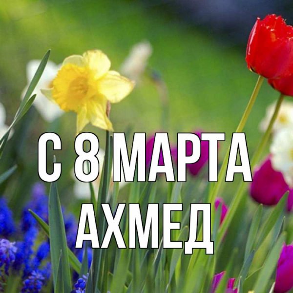 Спасибо хорошего дня
