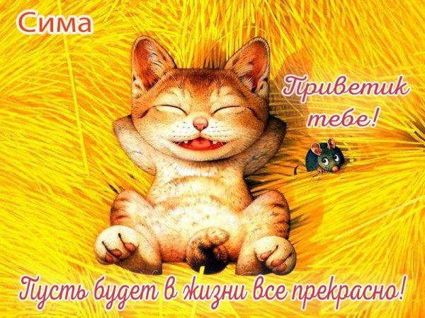 Привет Сережа