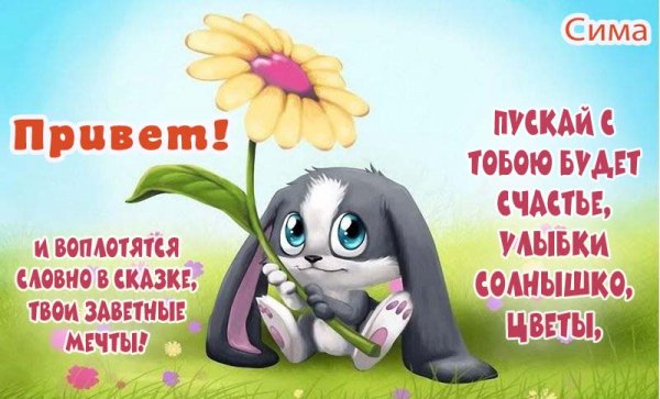 Сима мемы