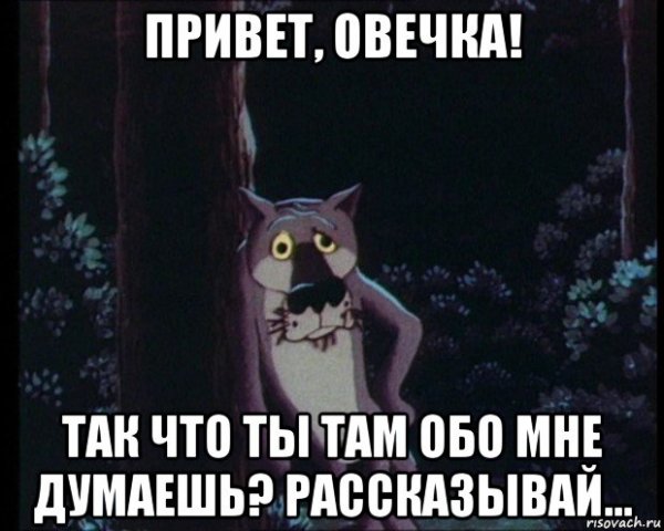 Овечка привет