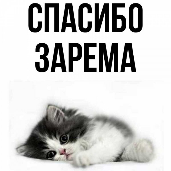 Света надпись