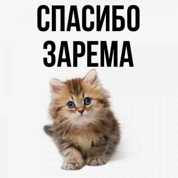 Гомкартиева Зарема