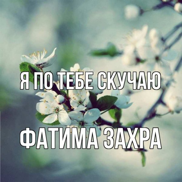 Ильнар надпись