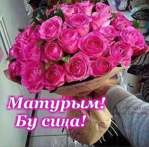 Привет котик