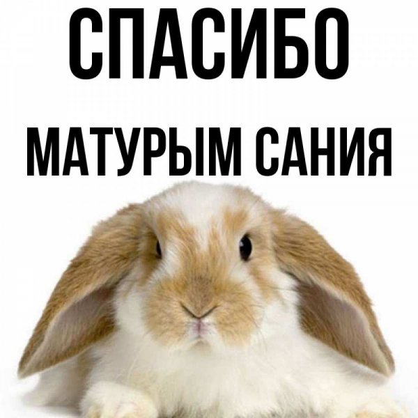 Картинка спасибо Марик