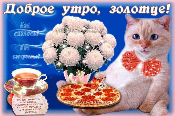 Доброе утро золотце