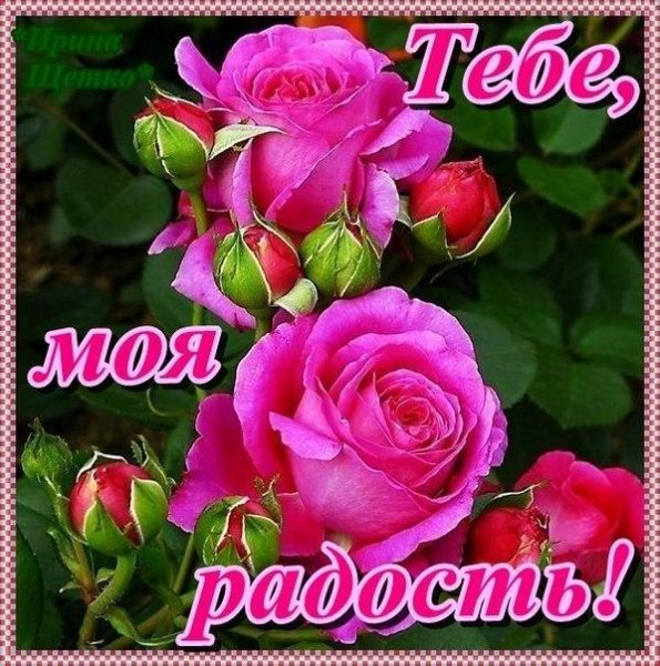 Спасибо за твое доброе сердце