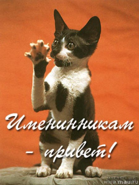 Привет именинница