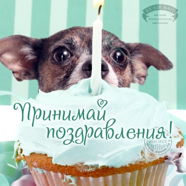 Поздравления с днём рождения собаке