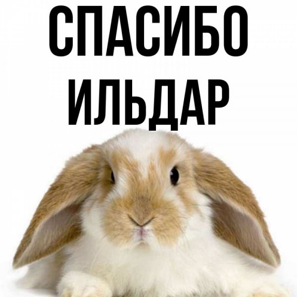 Мемы про Ильдара