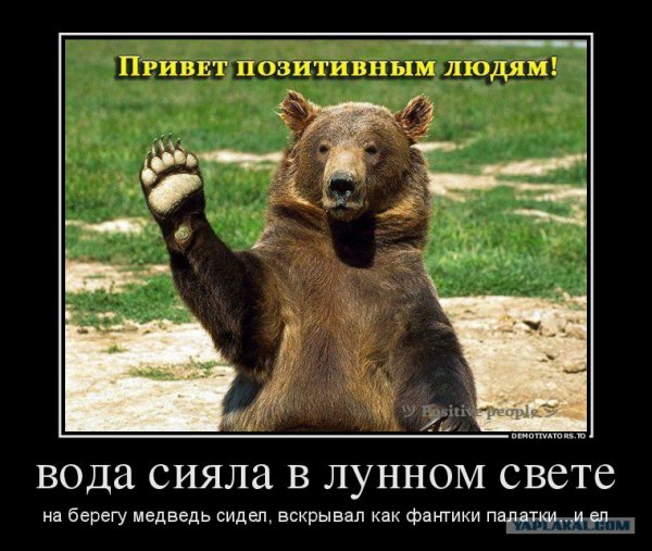 Всем привет медведь