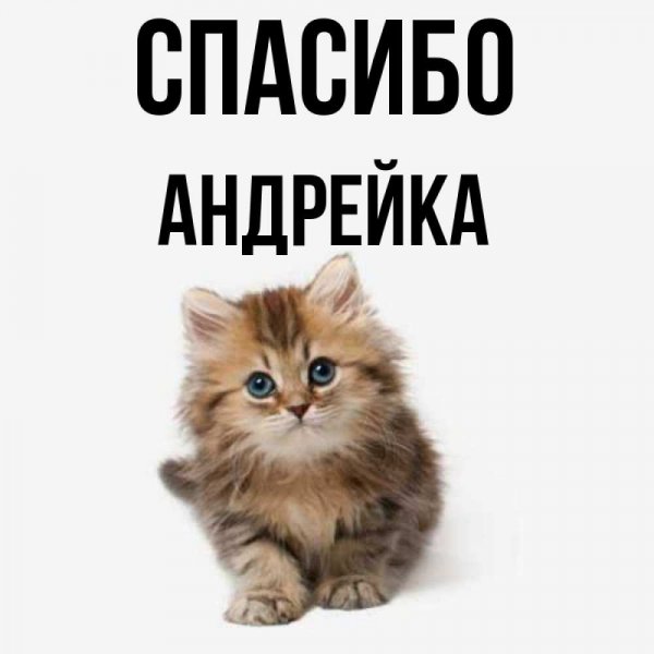 Анимация имени Андрей