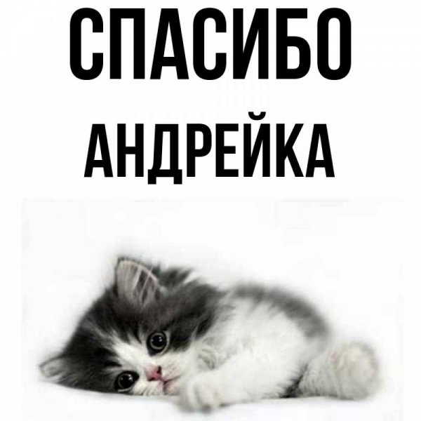 Андрейка открытки