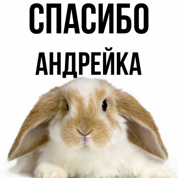 Стих про Андрея