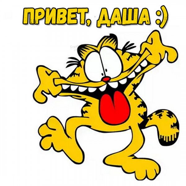 Привет Даша Мем