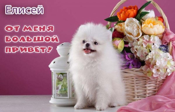 Елисей имя