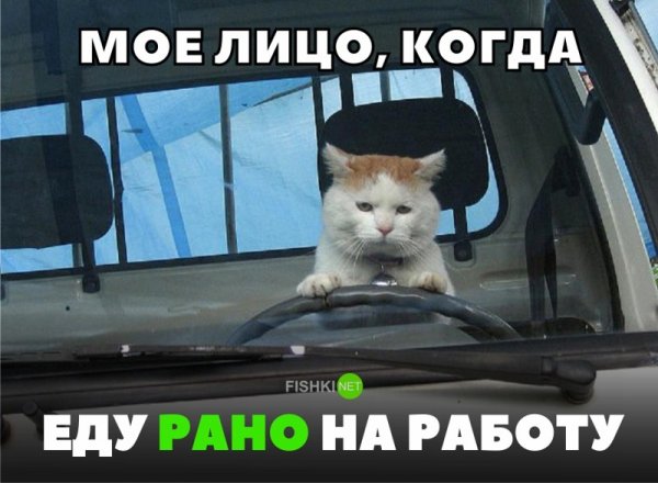 Доброе утро авто