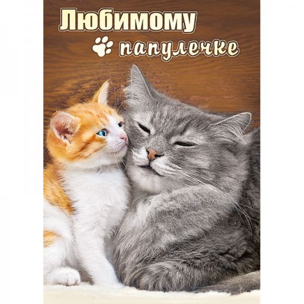 Доброе утро папуля