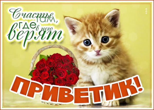 Привет малыш открытки