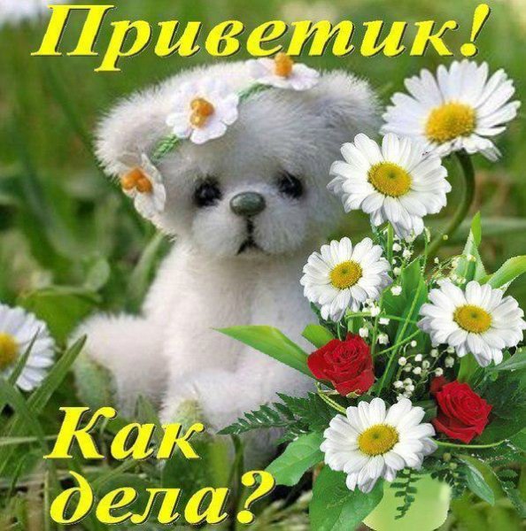 Открытка красотулька моя
