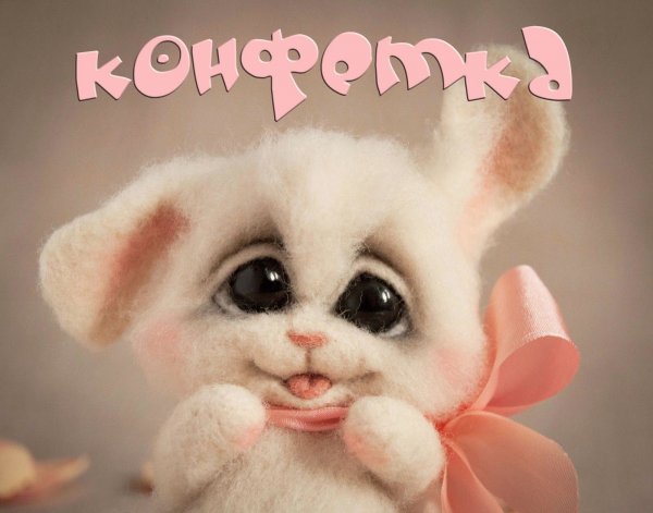 Ты Зайка