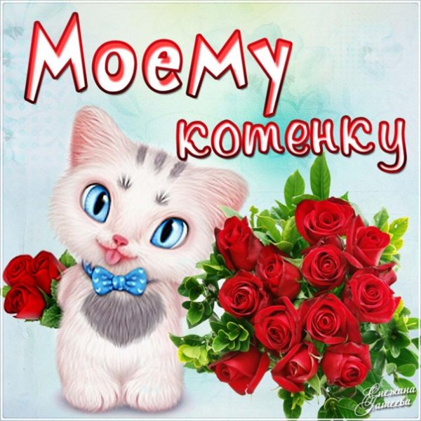 Открытки моя лапонька
