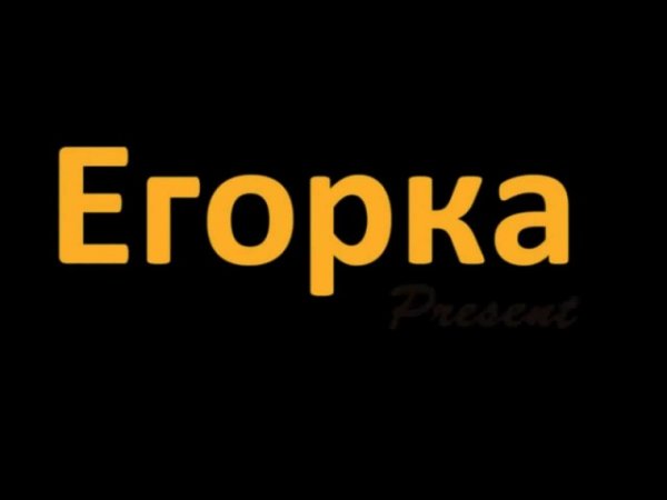 Кот по кличке Егорка