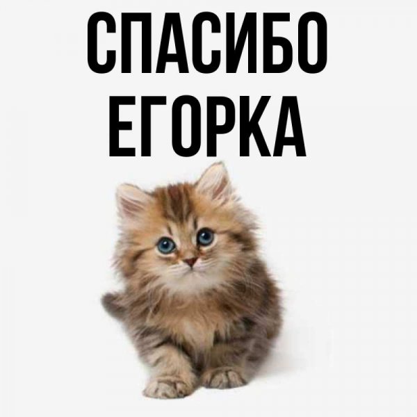 Красивая надпись Егорка