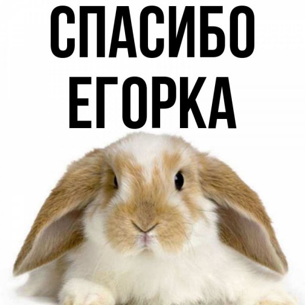 Открытки улыбнись