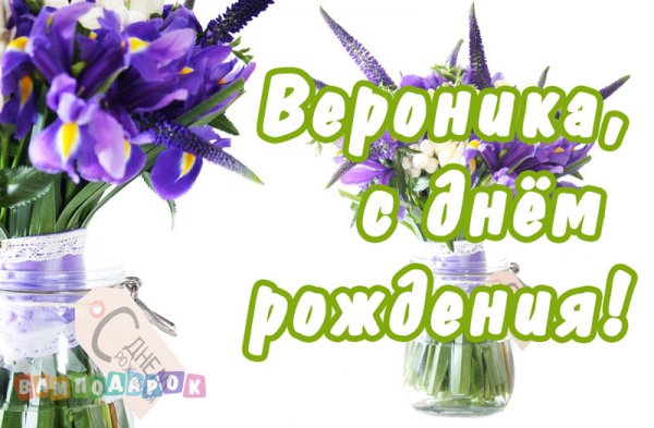 Поздравление верникес днем рождения