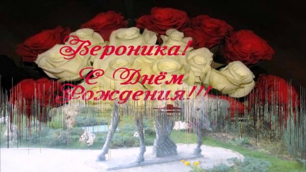 Дорогая Вероника с днем рождения