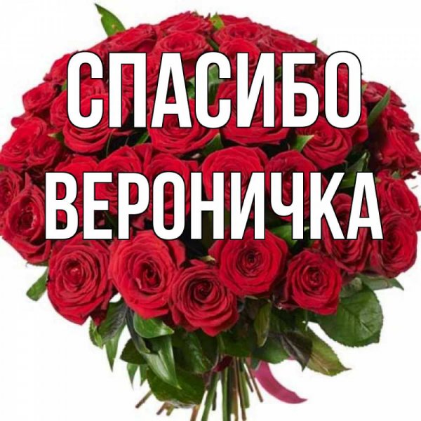 С днём рождения Вероника