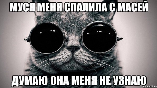 Я уеду жить в Лондон кот в очках