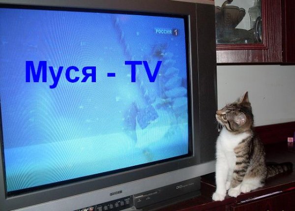 Картинки с надписом Муся