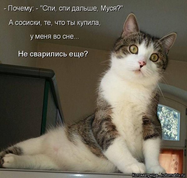 Муся извини