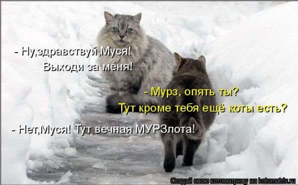 Я вернулся Здравствуй Мура