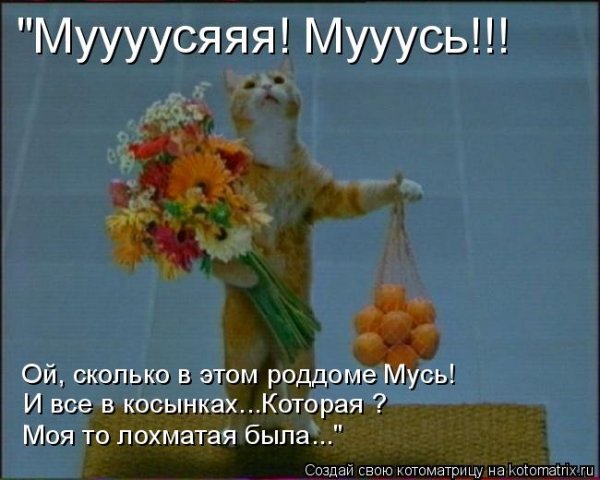 Кот с мышиными ушами