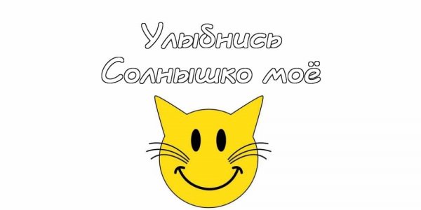 Картиночки с котиками и надписями
