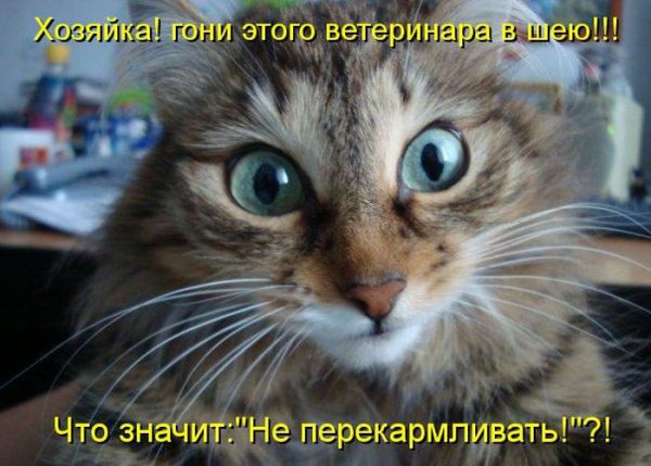 Тебе цветочек