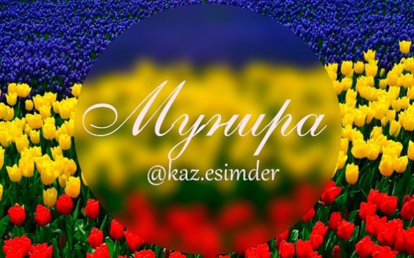 Мунира надпись