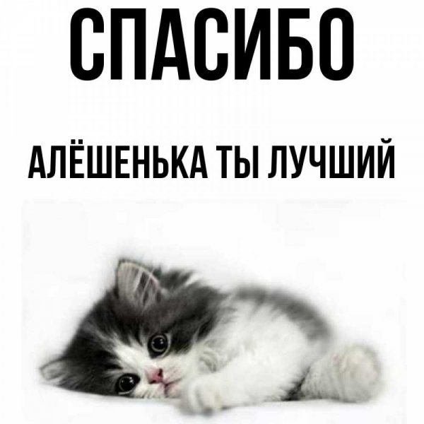 Поздравление Алексею