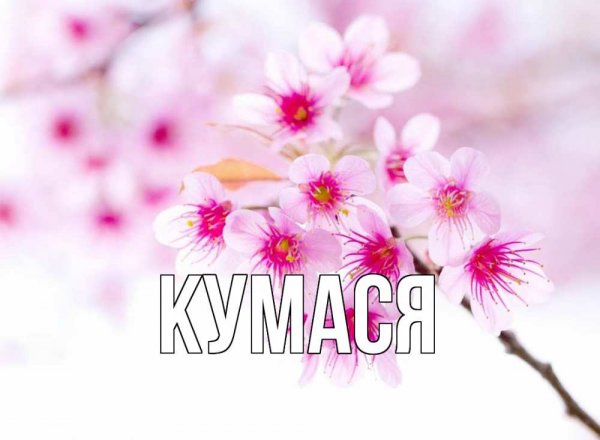 Открытка куме спасибо