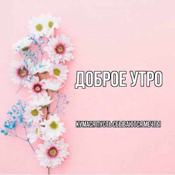 Открытки приветик Светик