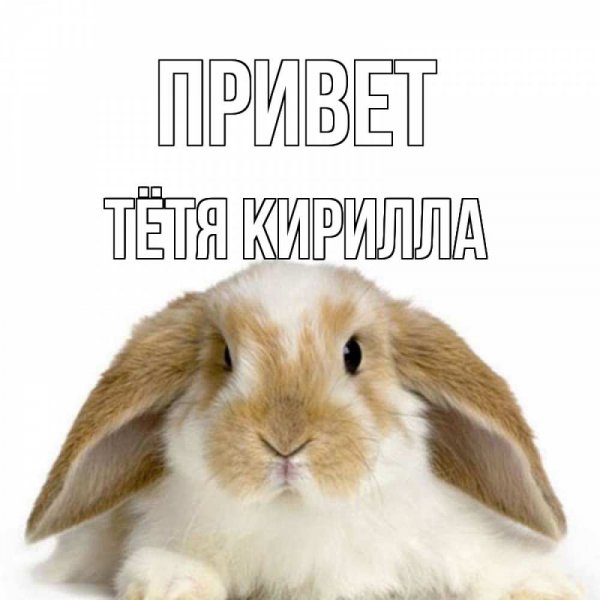 Кирилл привет картинки