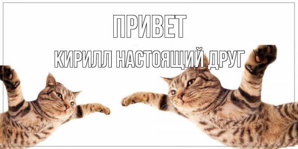 Доброе утро Егор