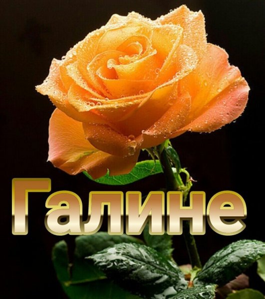 Самого чудесного дня и привет от меня