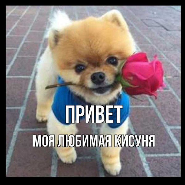 Здравствуйте хорошего дня и отличного настроения