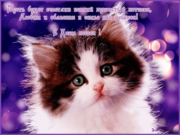 Открытки ку ку