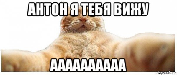 Привет Антон Мем